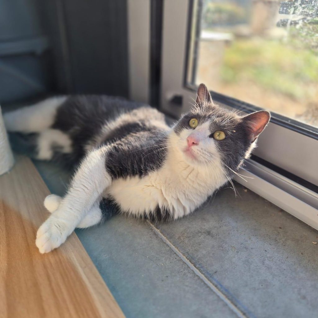 02c119a4 C1ff 4771 B588 45b9bf9b12c8