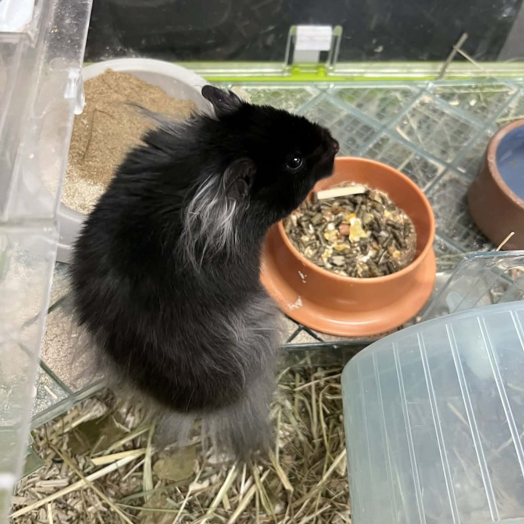 044d8db4 69ab 4bbd Be59 957d150b7717