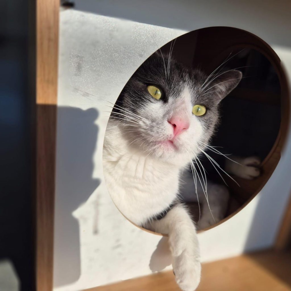 04647a0a 0728 42c7 B7a3 A16700d86d91