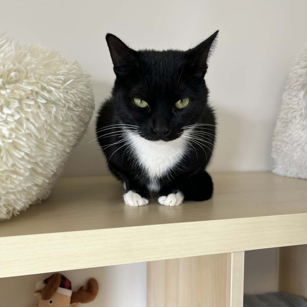 0804d2d8 2a62 4ba5 A43d 6e67330110d0