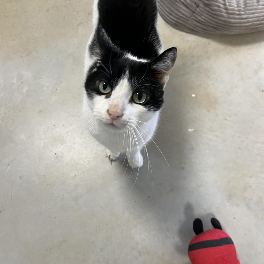 0c527f81 118a 4d50 8bb2 8099c85a3220