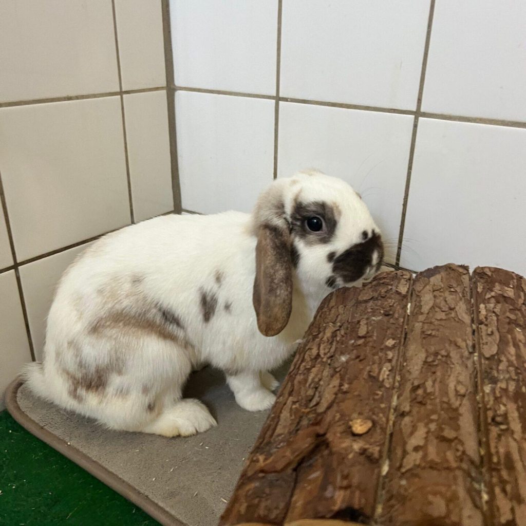 0ec60c6c 6433 4466 A6fd C59d299eaae8