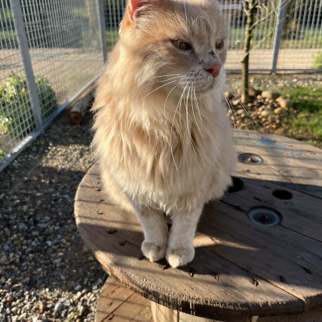 127f86ff A248 4dea 93fb 33bef0e19302