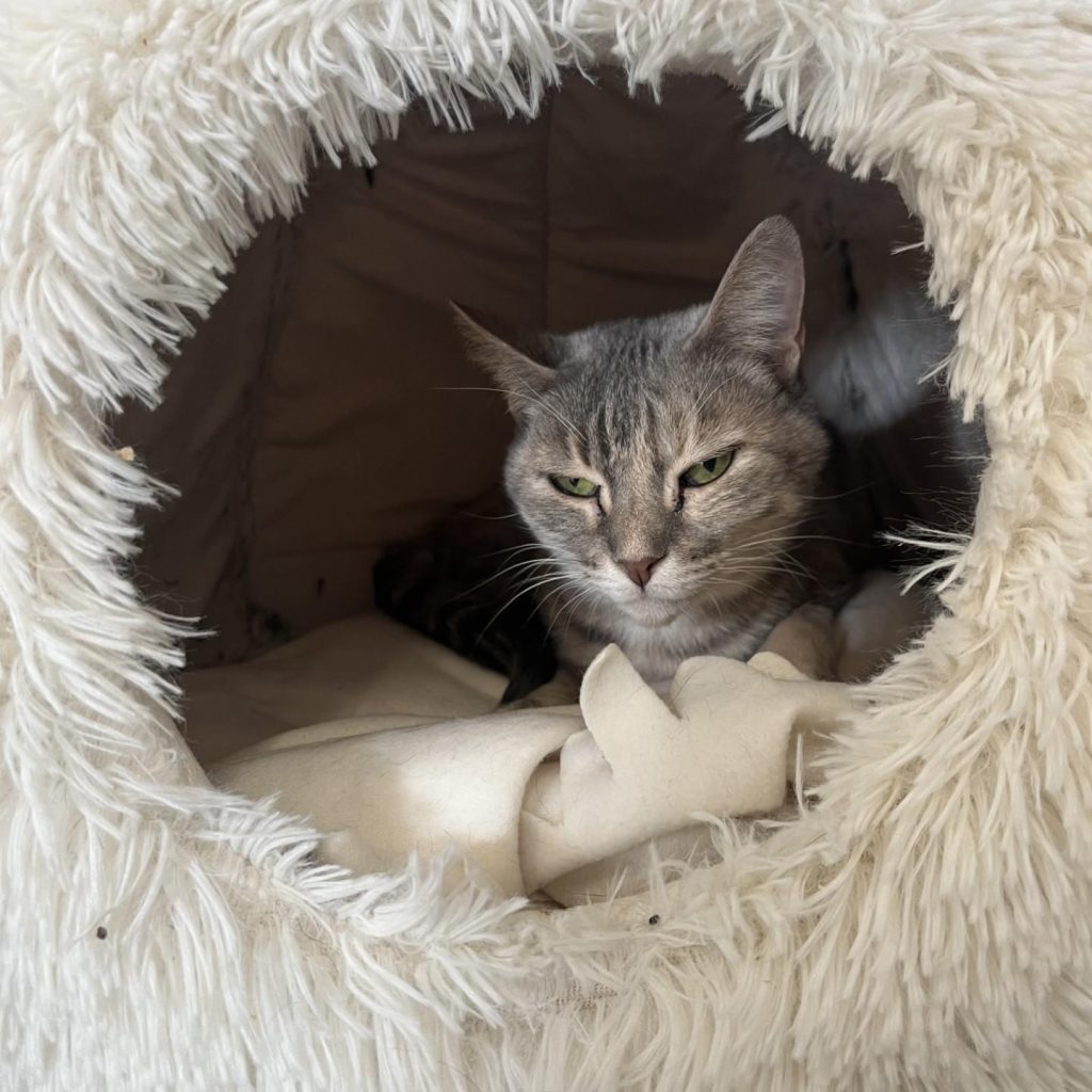 1b4783d5 87ab 44be A5dc 80ca8f0614f5