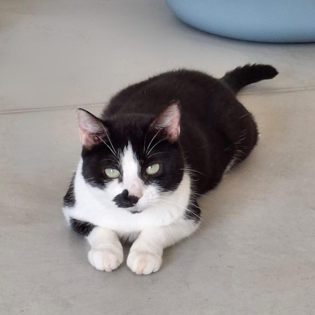 1cdb4dbc 4dee 431e A7d6 8977c2912ca1