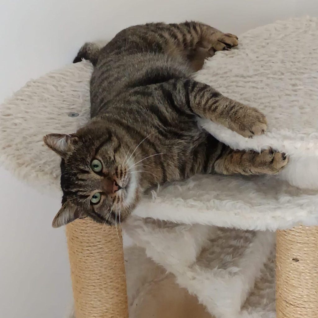 1d794c99 389a 41bd 92ce 0963db8efefe