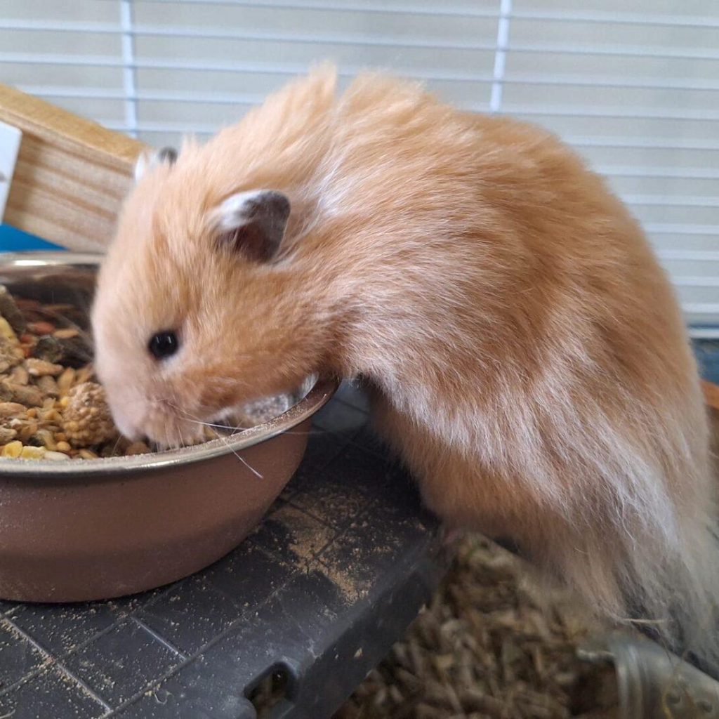 1de9106e 1331 49bf 87ce Cfa0b3431858