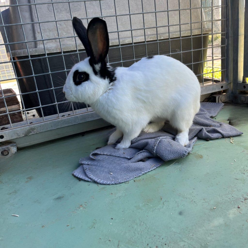 2225ecf1 F1c2 484e 89dd 75e66c44d155