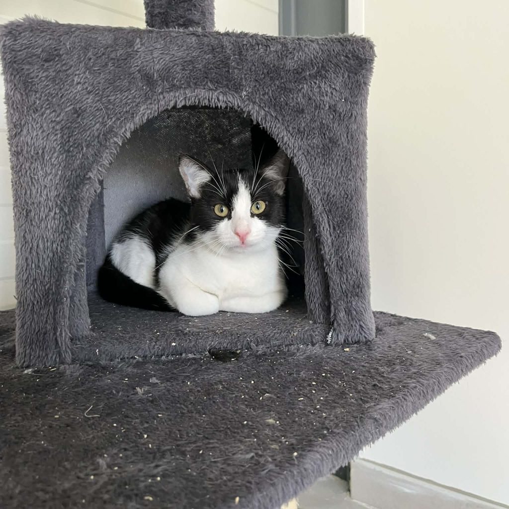 26d638d3 D2c7 44a5 8413 E76daf5dcd05