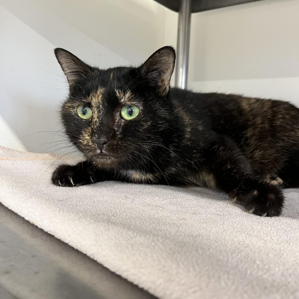 31cc7735 4d7b 4b8e Bf25 9359ba850b00