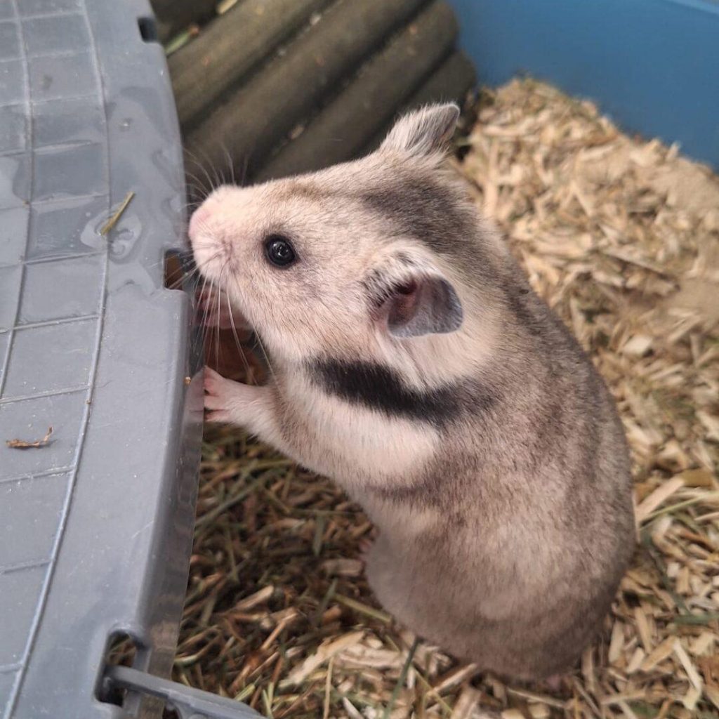 34194576 848f 4a70 Ba7d 201ba0c935b7