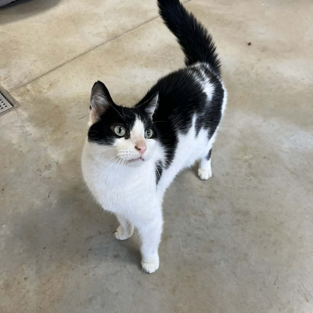 39fe04ee D608 4ab0 B002 F4faced010f6