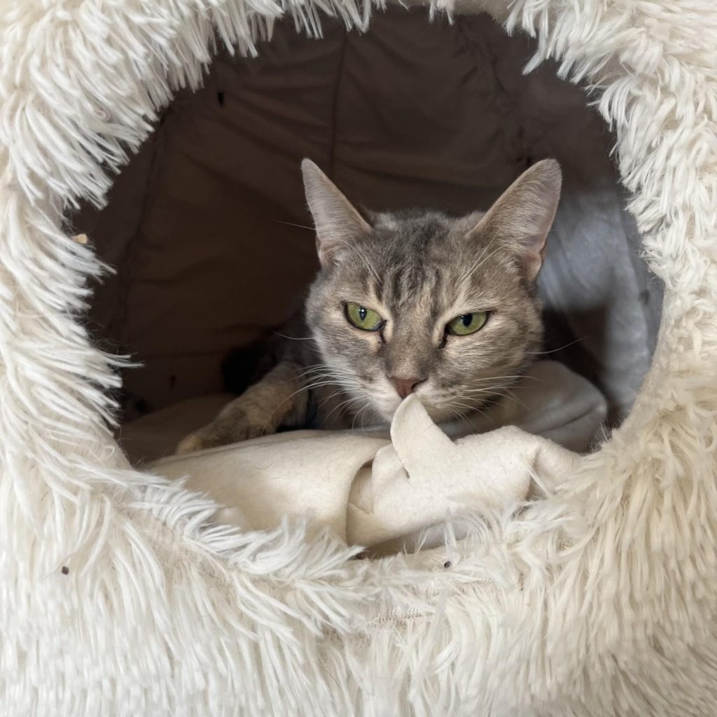 3fa75617 253d 4ec5 8223 Ffded02a9066