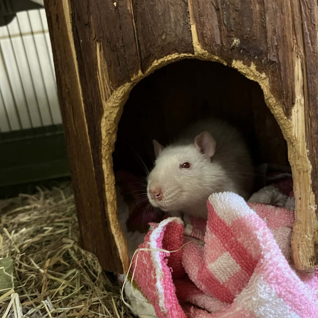 424165c9 2038 41b2 Bb2e 7fbcef98df8f