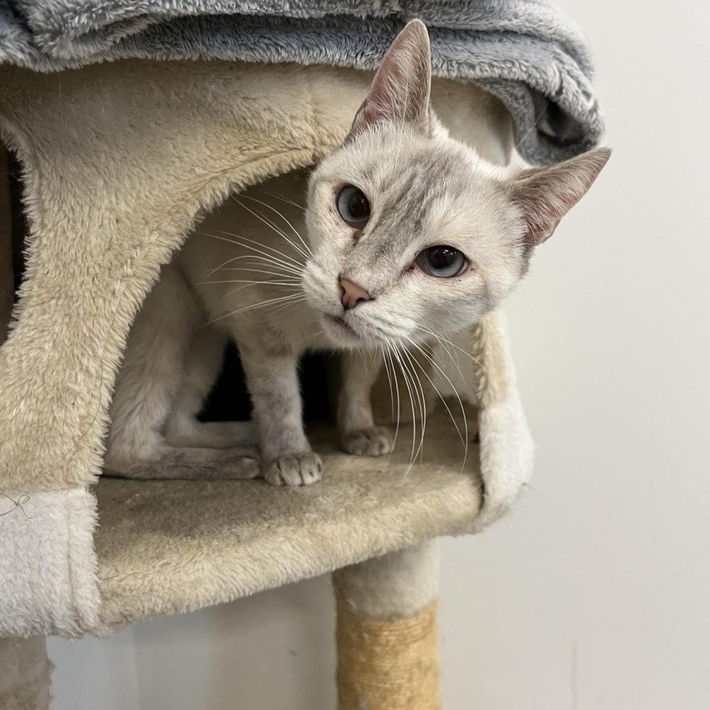 45c7a20b D4c6 473a Bff1 E0ef0b8dc78b