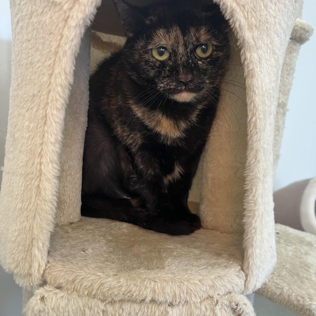 4a463f49 Eb8e 4234 8d8f 8d212ef791d0