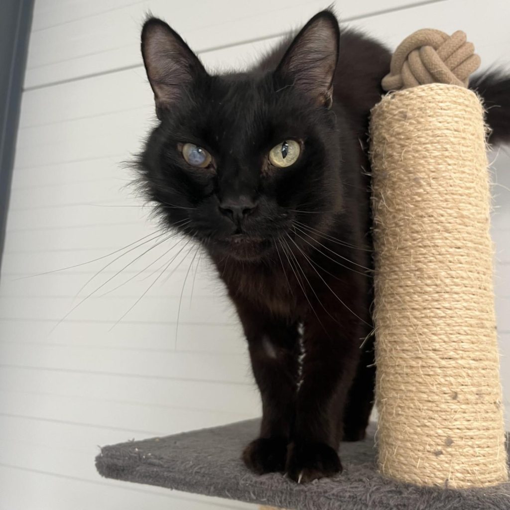 55d7ee81 28ab 49b9 9f52 9b163a211ffc