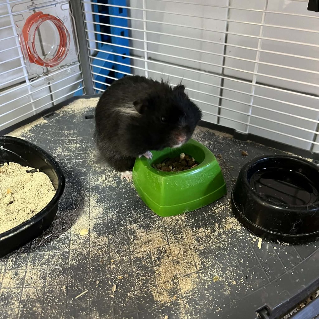 6141df53 B47e 47bc Bc67 9458d79dc02a