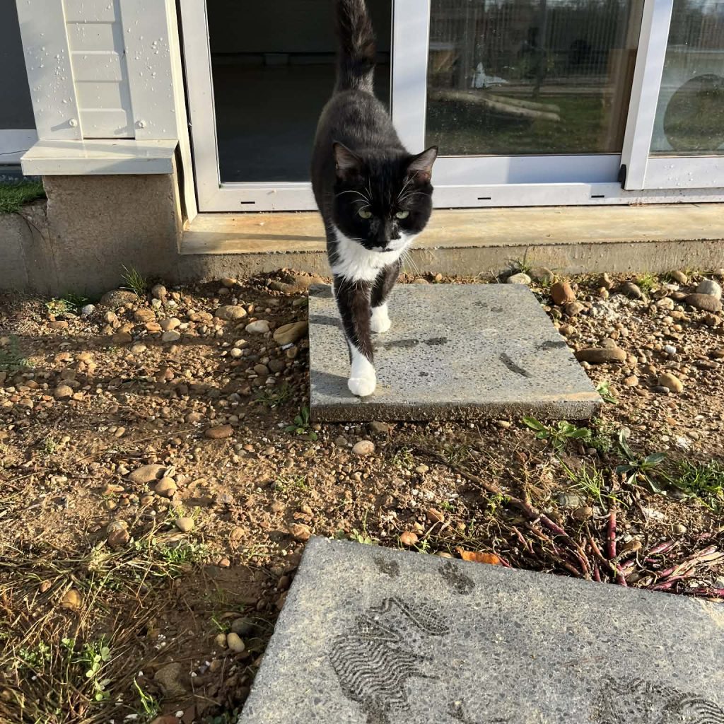 6381e588 1375 41d0 A041 84e54783ded4