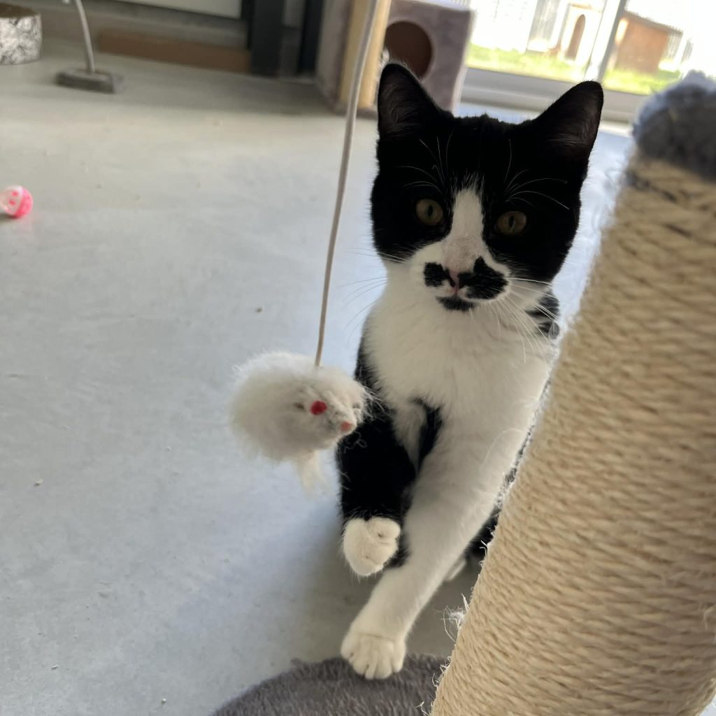 641dfd08 C155 4328 A5b6 0f712220f31d