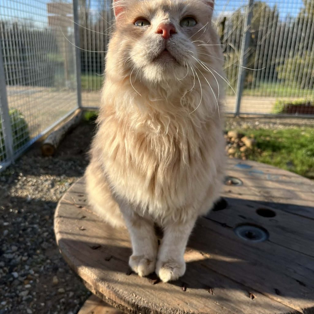 6c37d393 A1ae 4bac 86dd Bec9b3ef6988