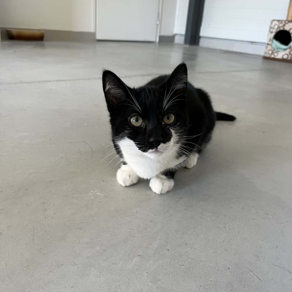 6e5aa624 1e3c 42e0 8f3f A54588f5f31f