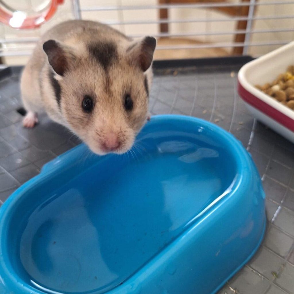 6f25b08a 3742 4db5 8f5b 4f25b7efa9fe