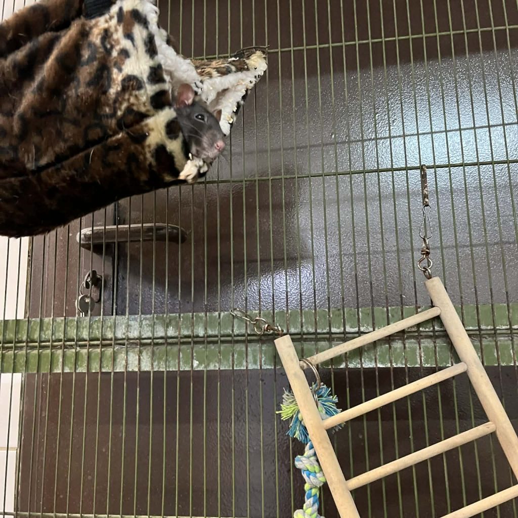 70f35904 Ccf7 45d5 8cca 0171a12f9c0e