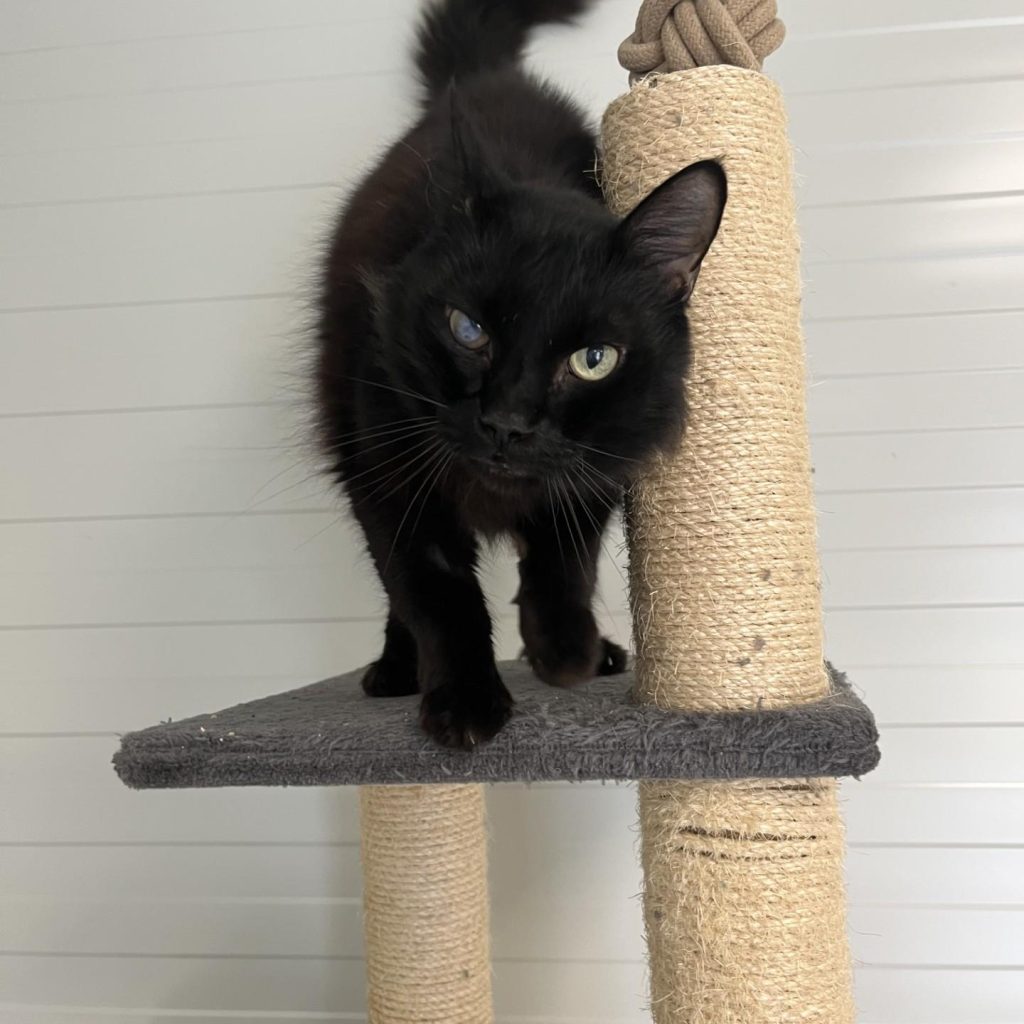 738116b1 7661 4366 Bb40 B53ae15f604b