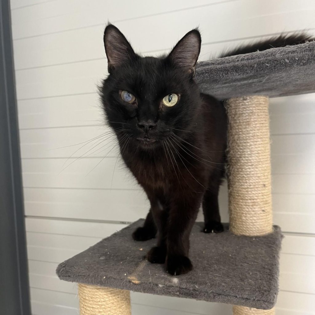 793e193d 351a 4762 858e 8402de55fc03