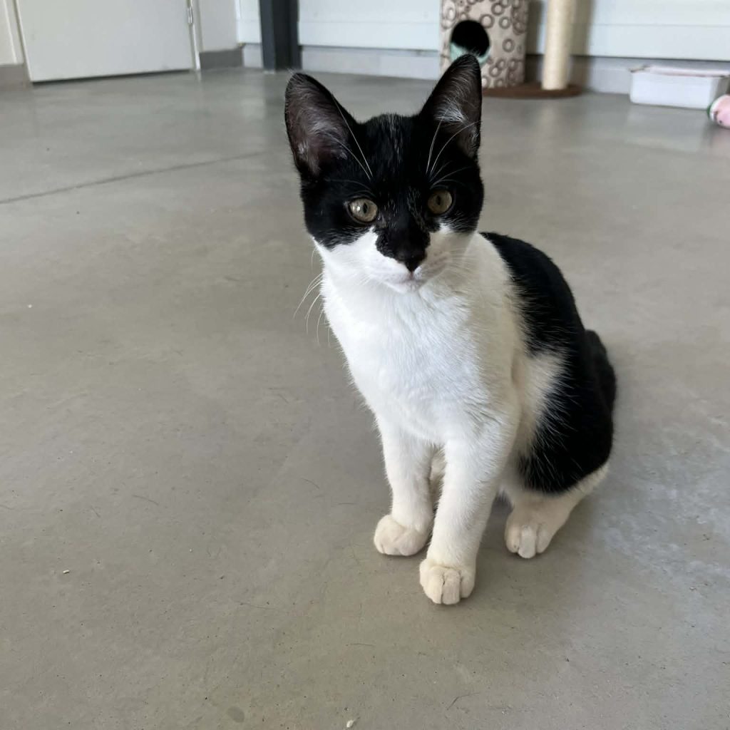 79d53653 0e8c 4d83 8745 96ce6ea21825