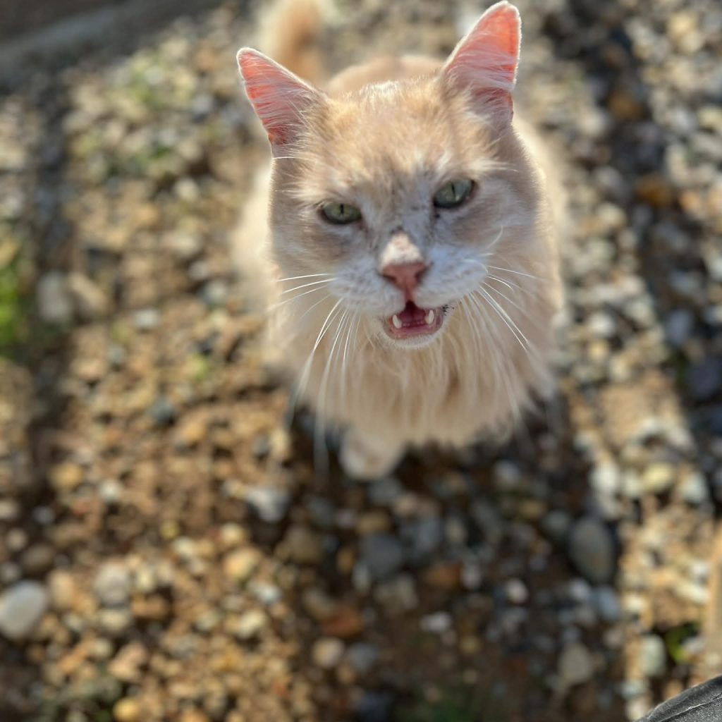 7d562fb5 43d3 4ad7 9516 1c3395fc299c