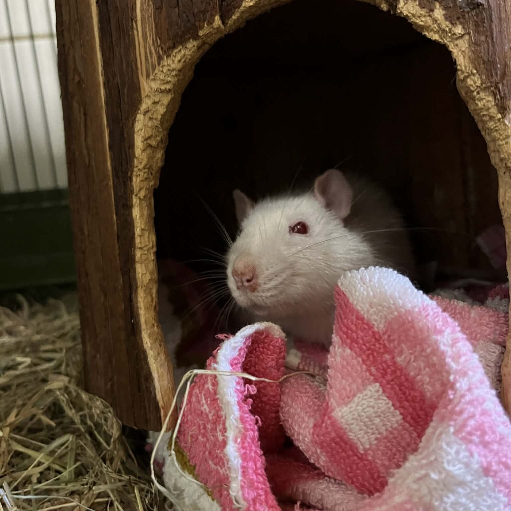 80456149 35aa 4f73 86c9 1561f7cec062