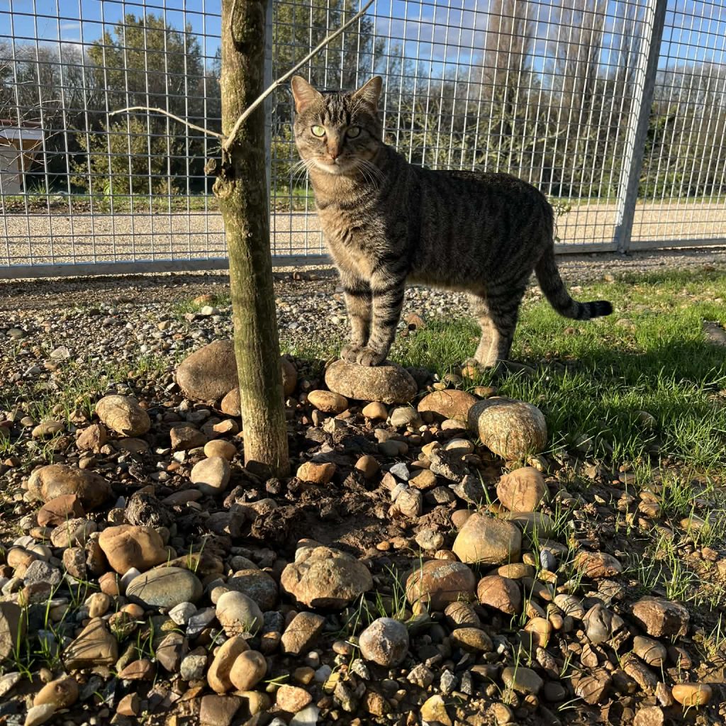 83a699a8 Fa26 421b 820e 4ccf7a4a858b