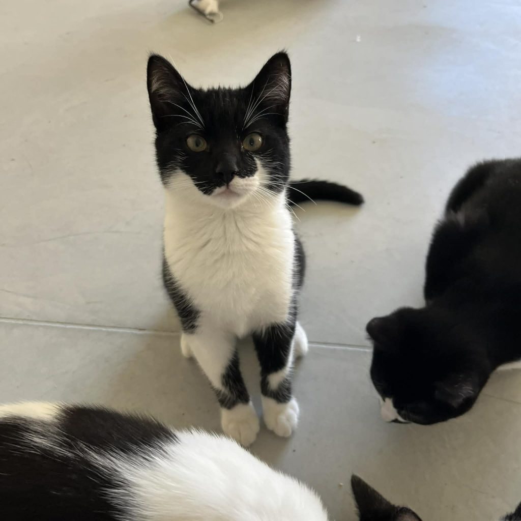 88f8fea2 8cb2 41e4 B6c7 A6b6fa966244