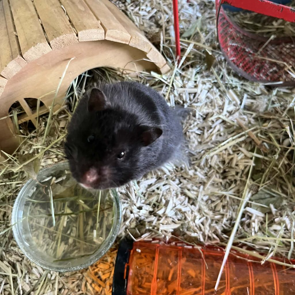 893e93fd D9de 4334 87f9 2e9d83095d70