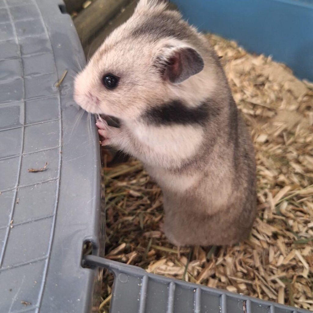 8bacd6d0 185b 47a9 Bc7f 0360332b9bd2