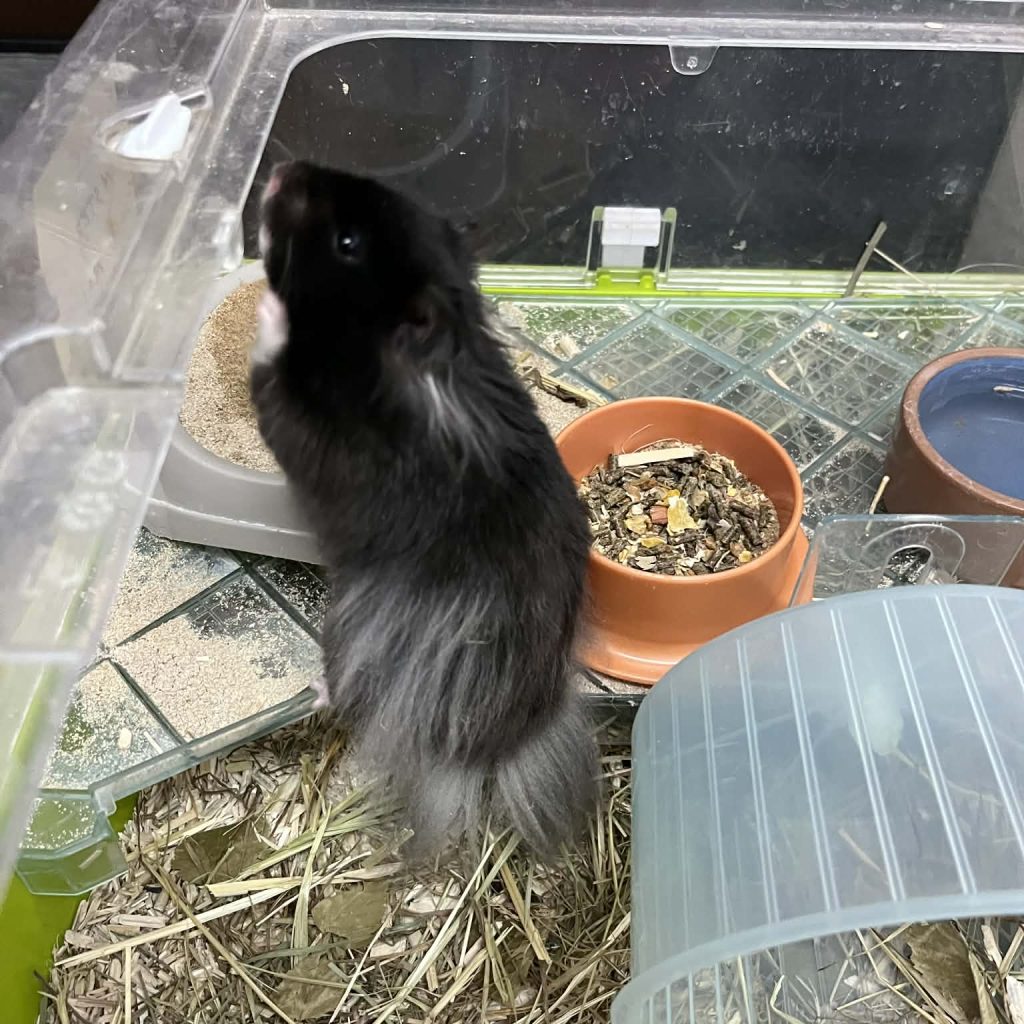 8c44c034 6d1b 49d2 9c47 280aa017cf3c