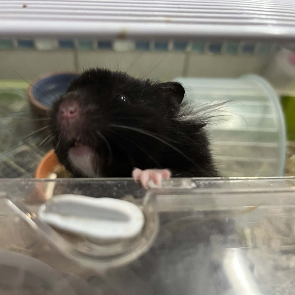 8e247cc4 6c8e 4cfe 9e4c 71d5d945db36