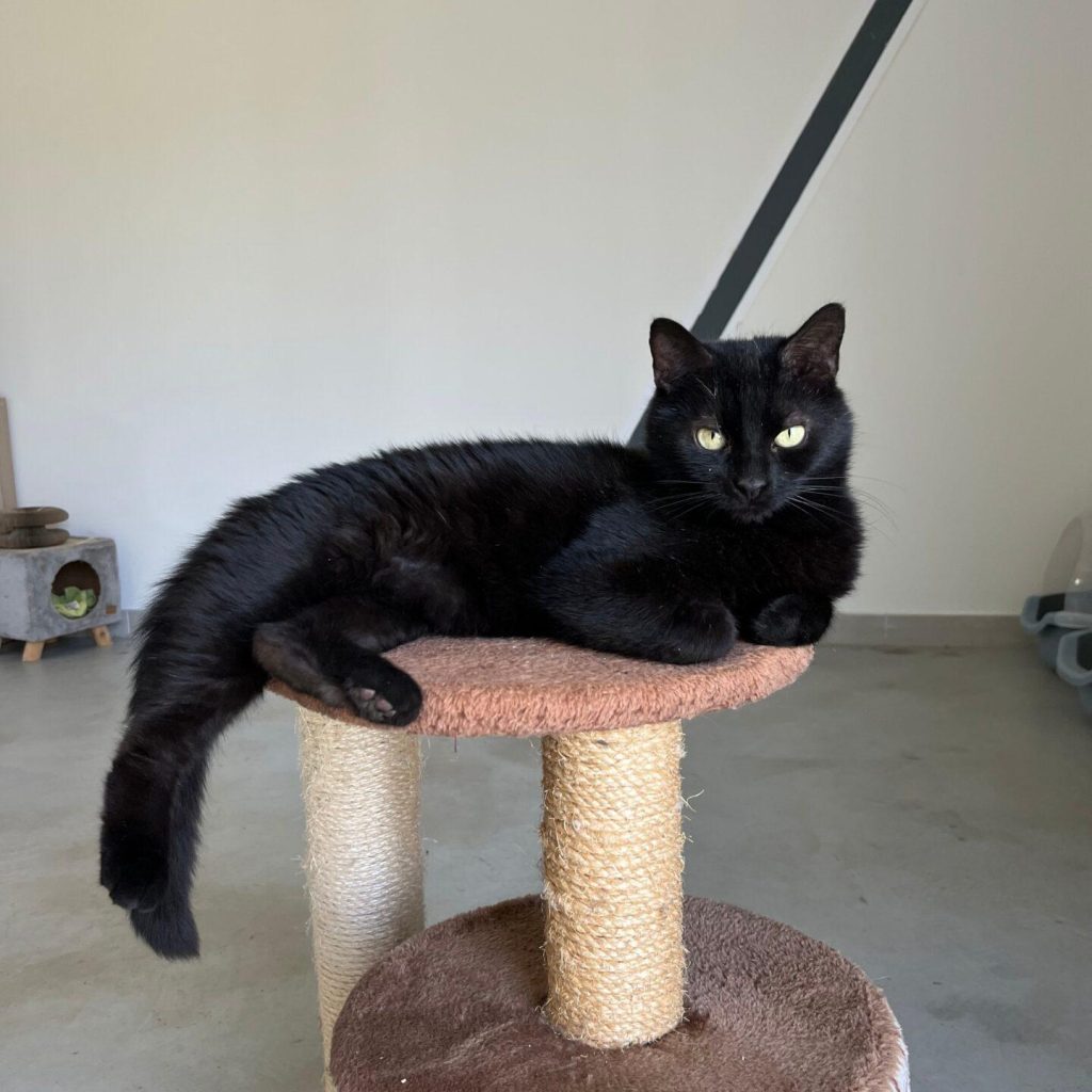 8f24b800 E483 494b Aa01 77d68488f25c