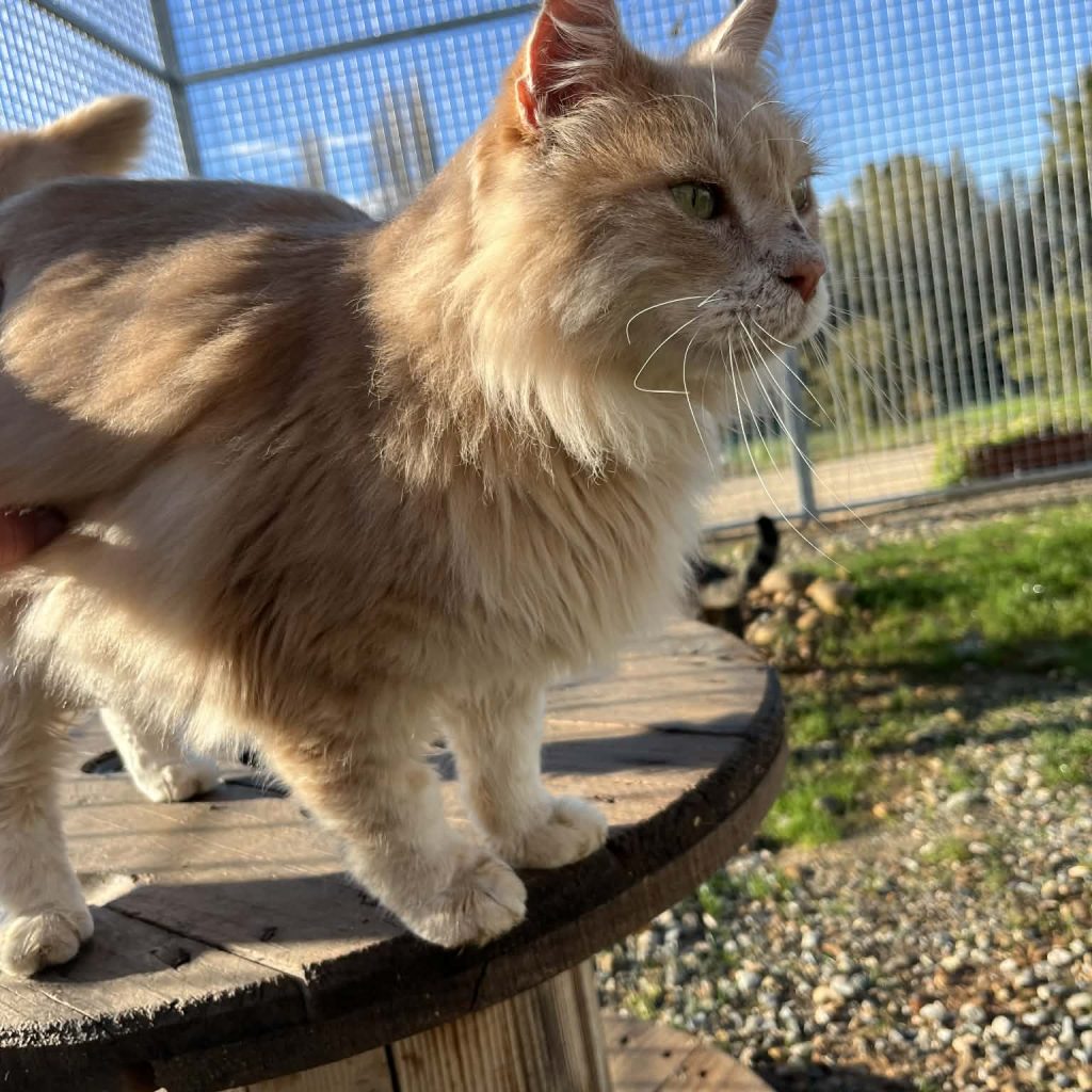 92ca760c 0506 497e 864c 810f522f89f7