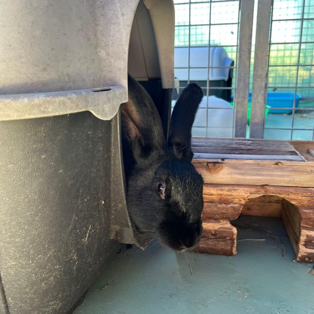 97509e8d E66c 4dbc Be25 0c399c76966b