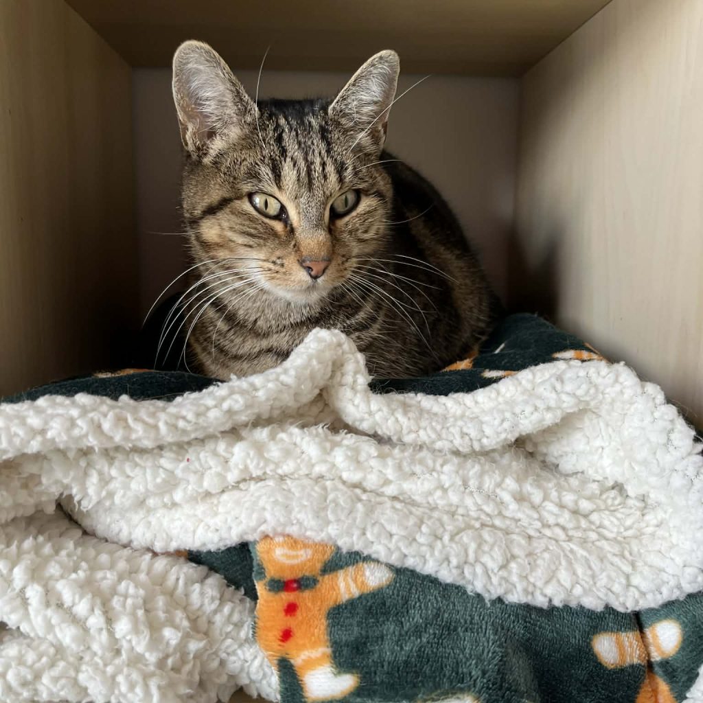 9b4b4132 B246 41df B802 01d3e7955ef1