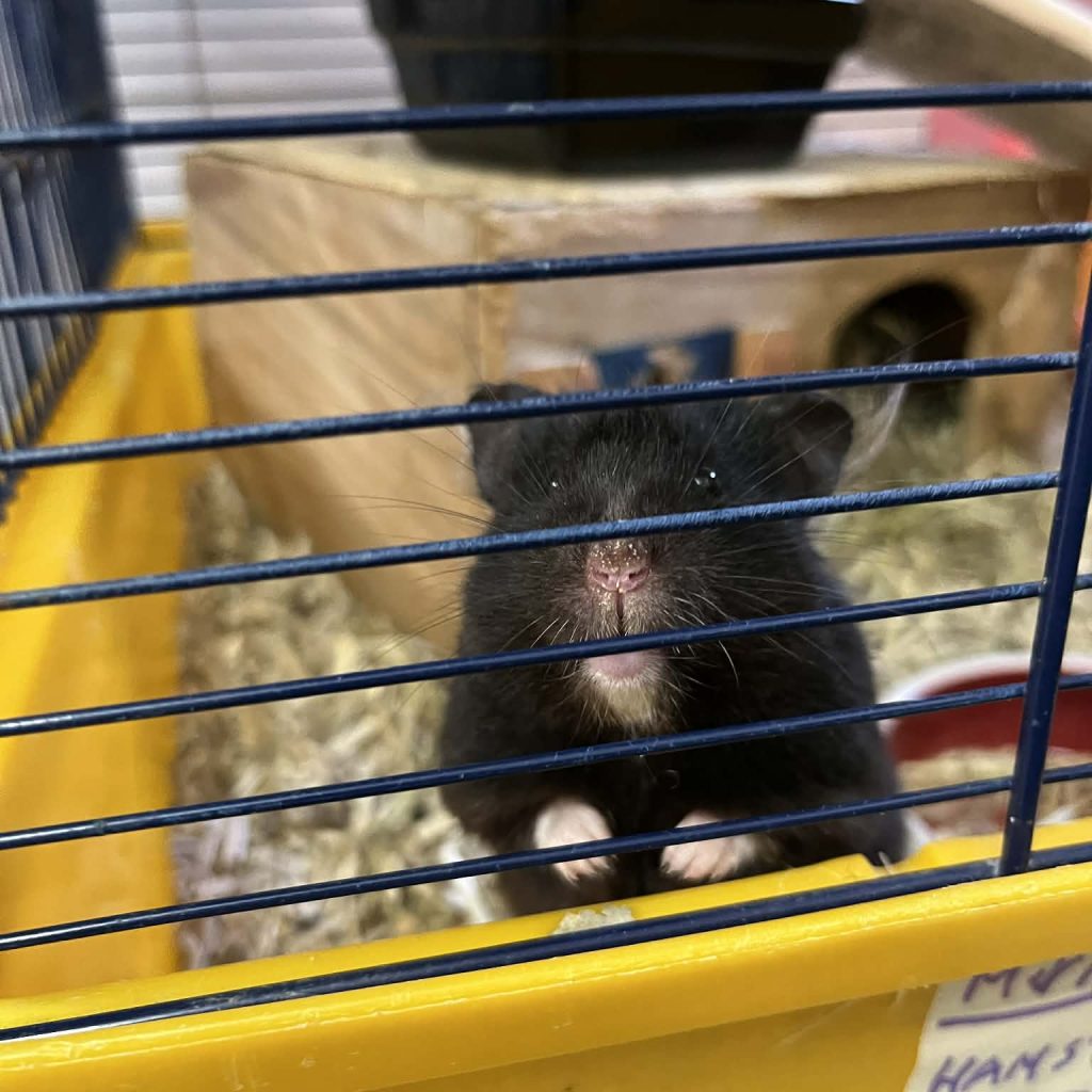 9d9a14da A7b6 4777 9710 099397bde925