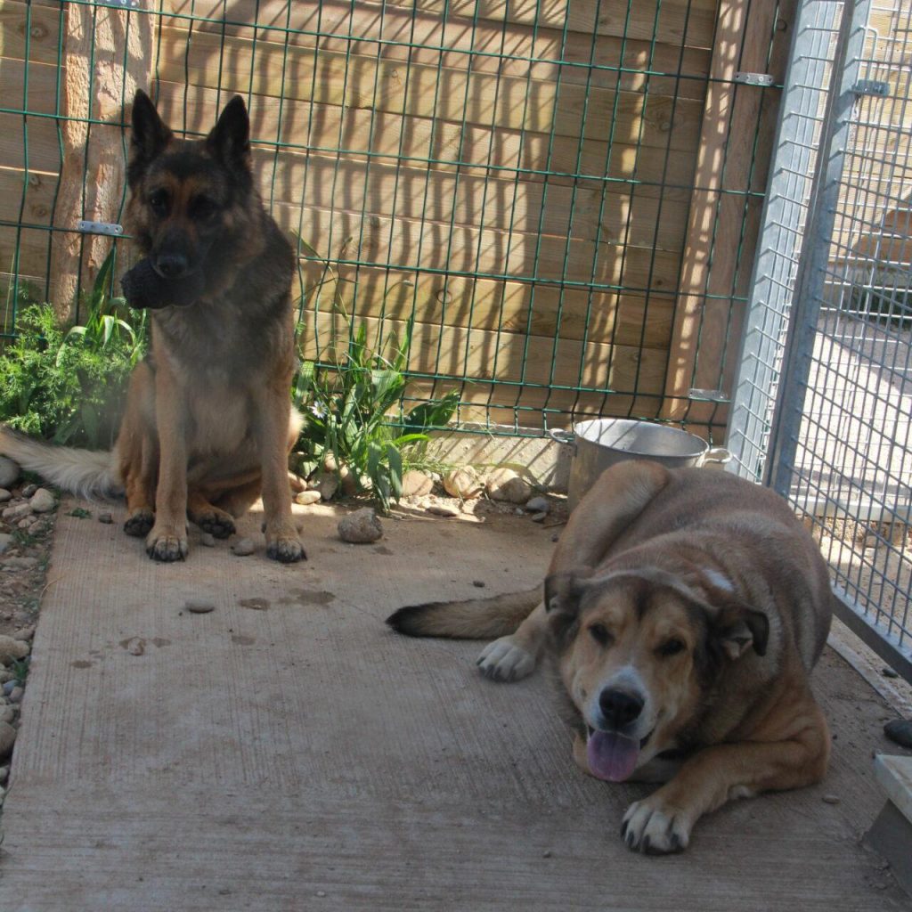 Laya Et Luma 1