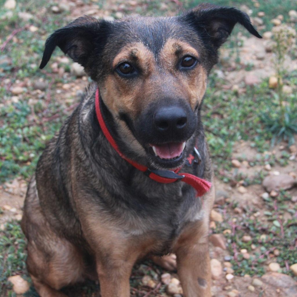 Lila 2