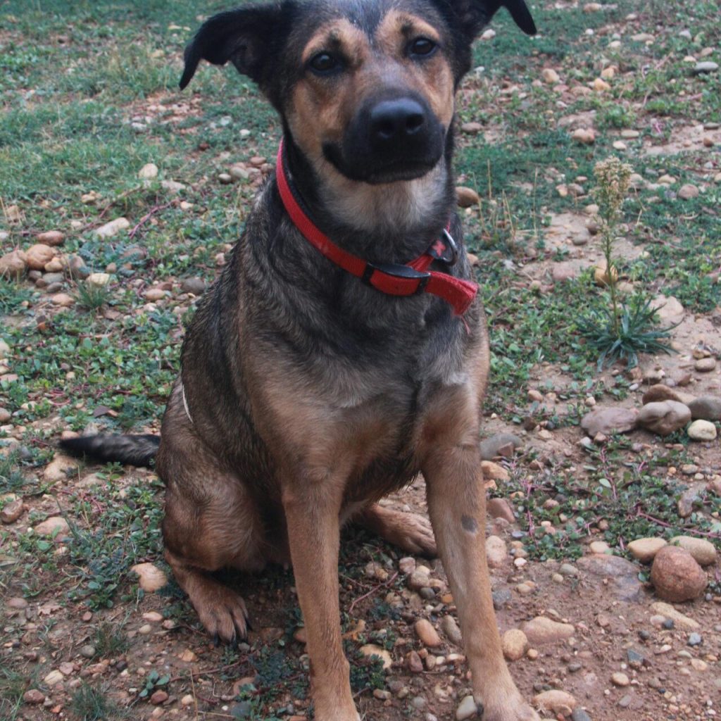 Lila 3