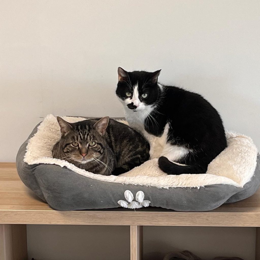 PHOTO 2026 01 12 13 08 48