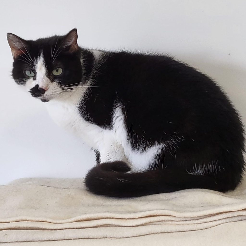 PHOTO 2026 01 26 13 08 11