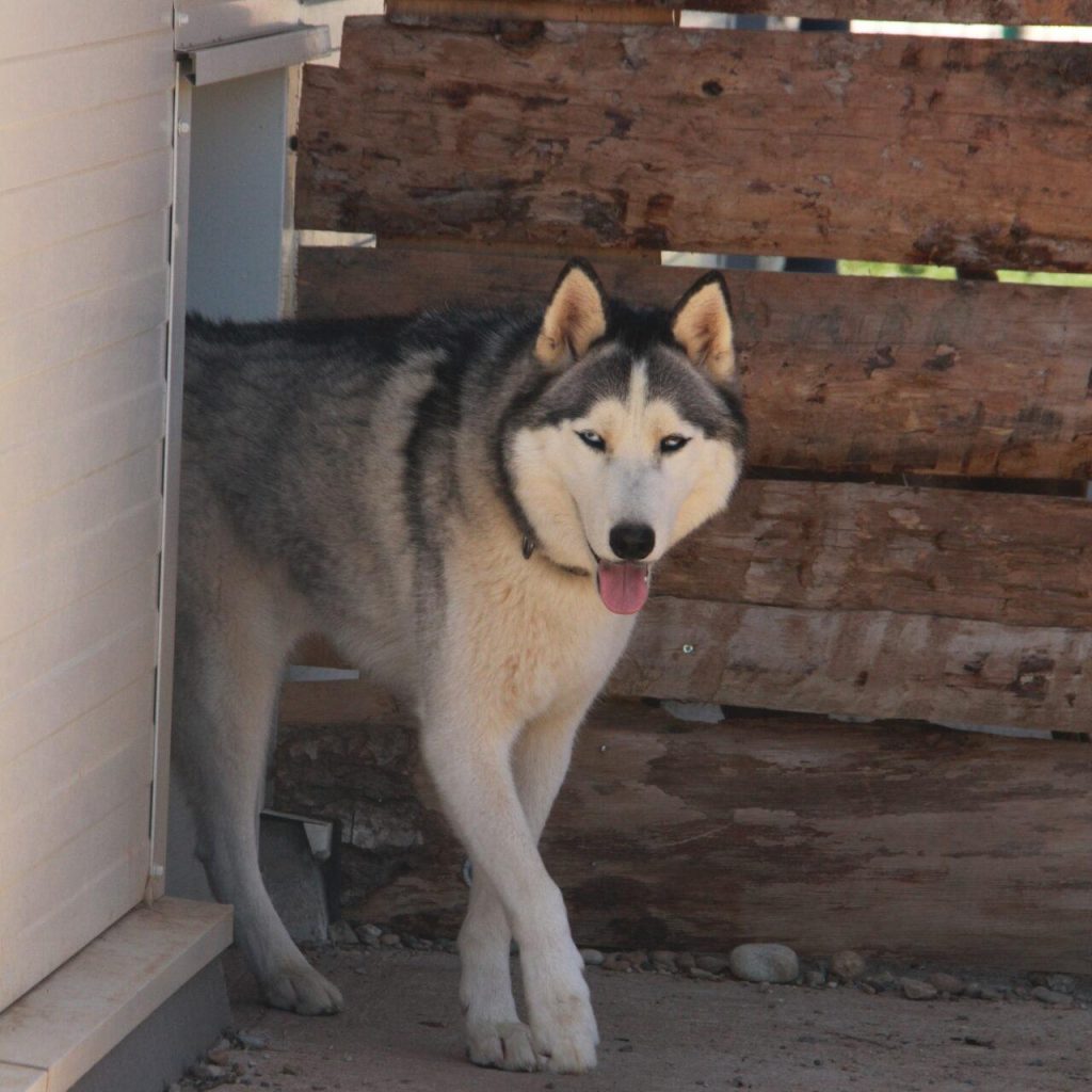 Sam 2